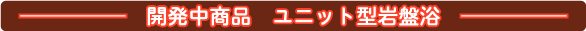 $B3+H/Cf>&IJ!'%f%K%C%H7?4dHWMa(B